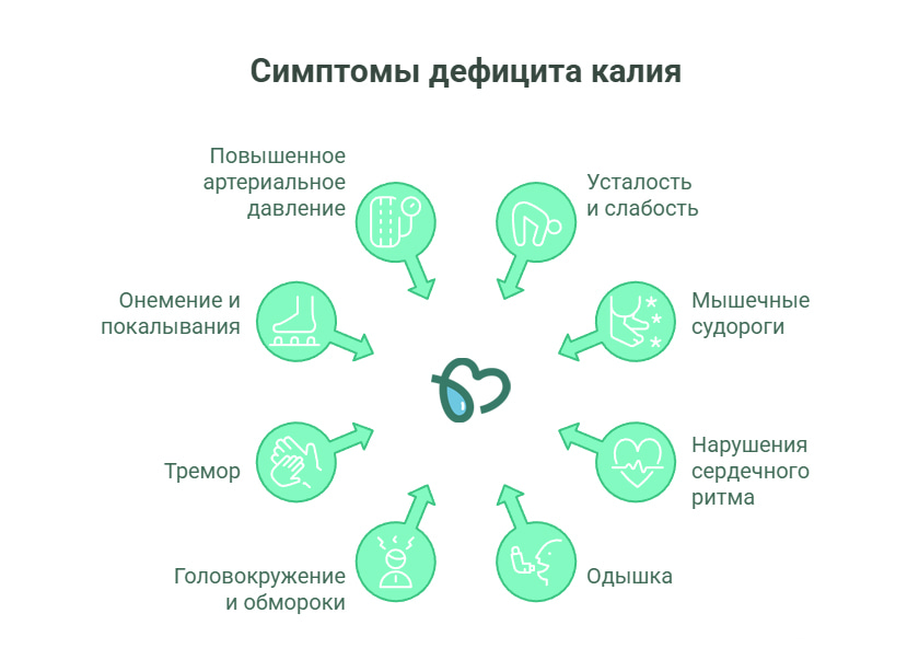 Симптомы дефицита калия (инфографика)